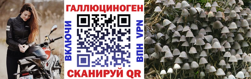 Псилоцибиновые грибы ЛСД Большой Камень