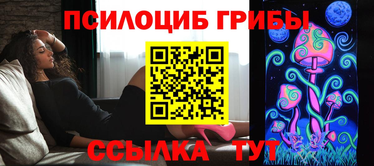 Галлюциногенные грибы Cubensis  Псилоцибиновые грибы ЛСД  закладки  Большой Камень  Вход с VPN 