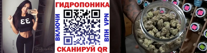 Бошки Шишки White Widow  наркота  Большой Камень 